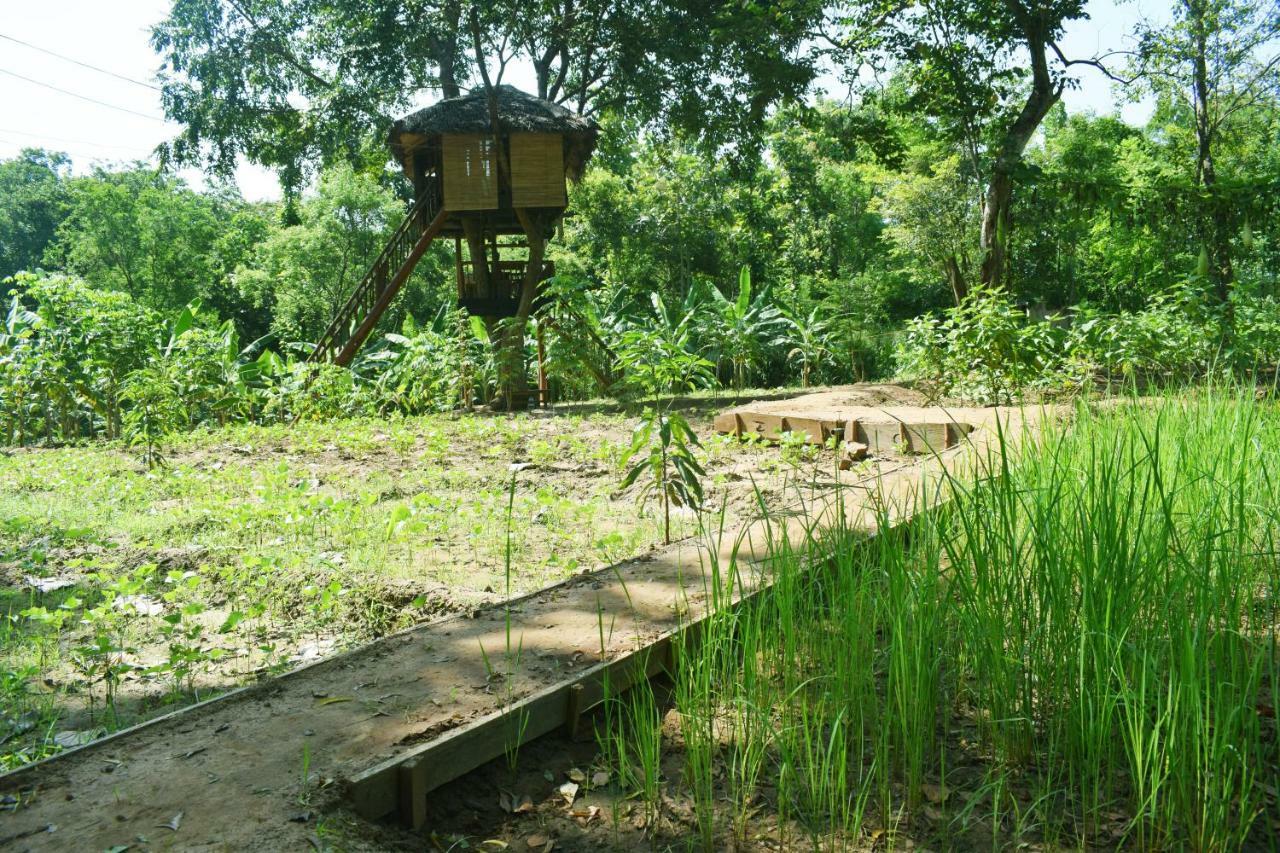 Nil Diya Mankada Safari Lodge Udawalawe Exterior photo
